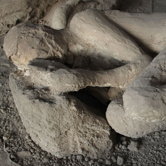 Storslåtte Pompeii: På flukt